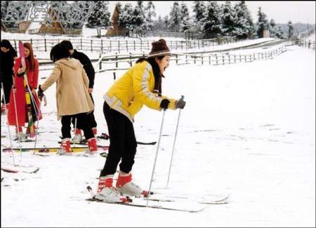 仙女山雪上運(yùn)動(dòng)項(xiàng)目