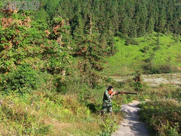 武隆仙女山娛樂之“狩獵場”