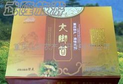 大腳菌
