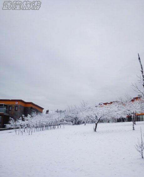 仙女山三月再降春雪 為數千游客春游獻好禮