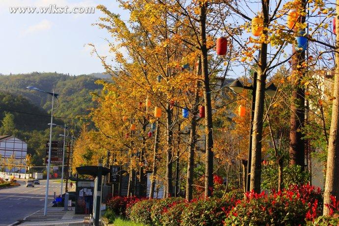  秋天的童話——風過武隆仙女山小鎮 