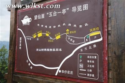 茶山導覽圖