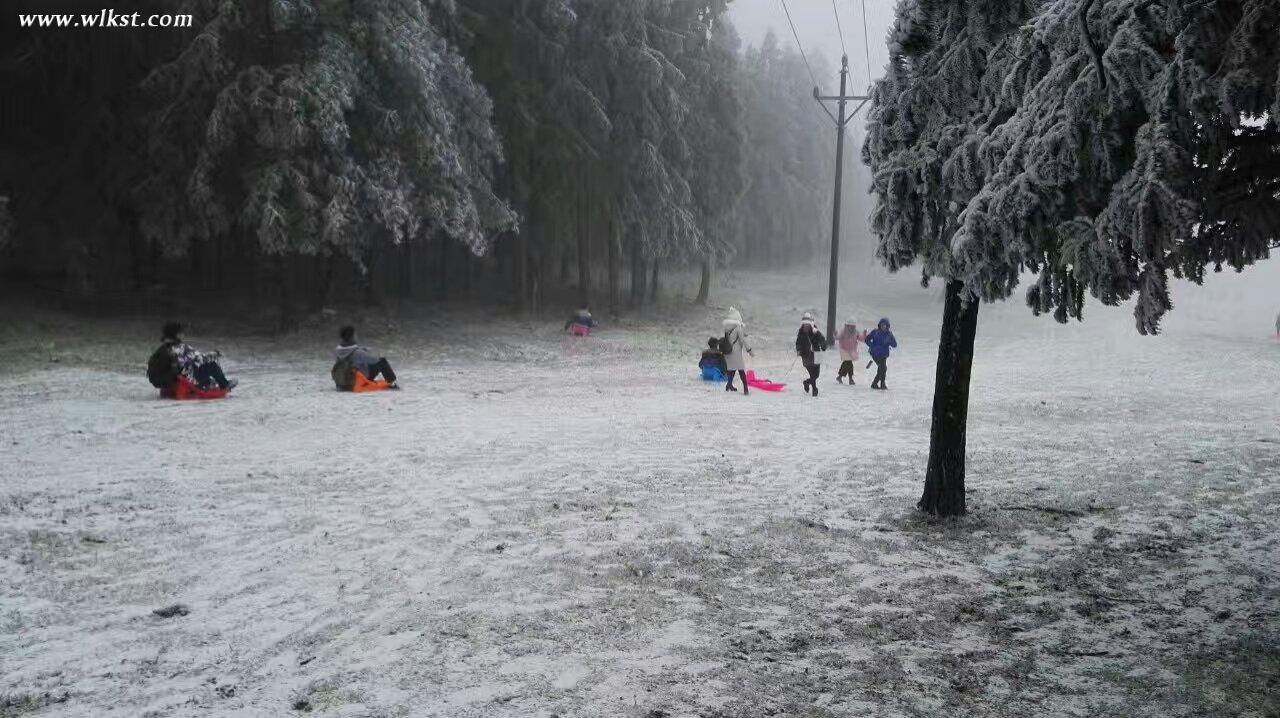 游客在仙女山歡樂戲雪