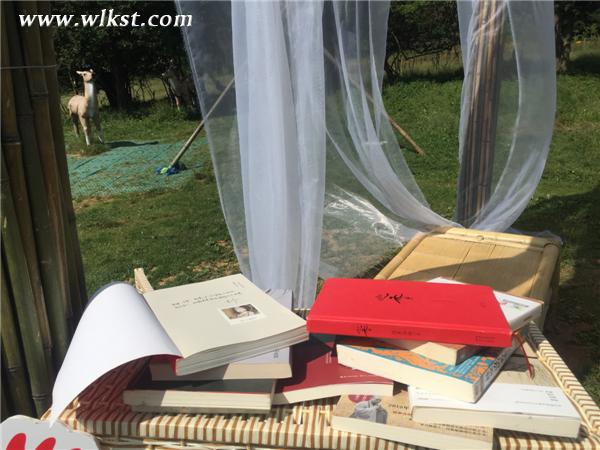 微博網友們親筆簽名的私藏書籍(王俊杰/供圖)