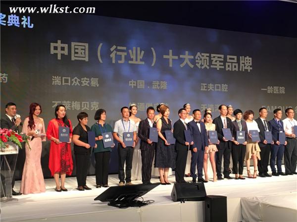 武隆旅游成為中國（行業）十大領軍品牌
