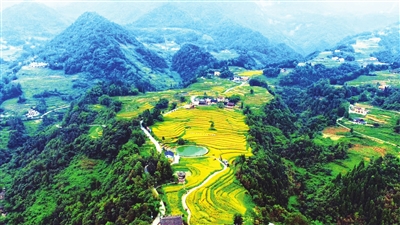 黃鶯鄉復興村